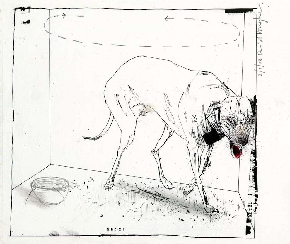 David Hughes, Hand drawn line illustration of a dog